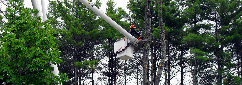 Aerial Lift